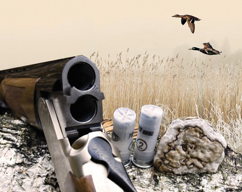 Ańshylar nege jabyrqap júr?