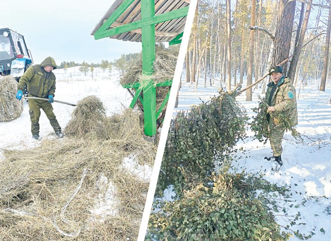 Ań-qusqa abaı bolǵan jón