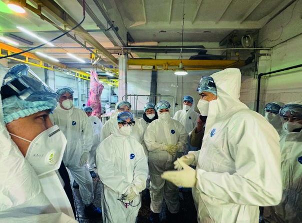 Veterınarııa adamzatty emdeıdi