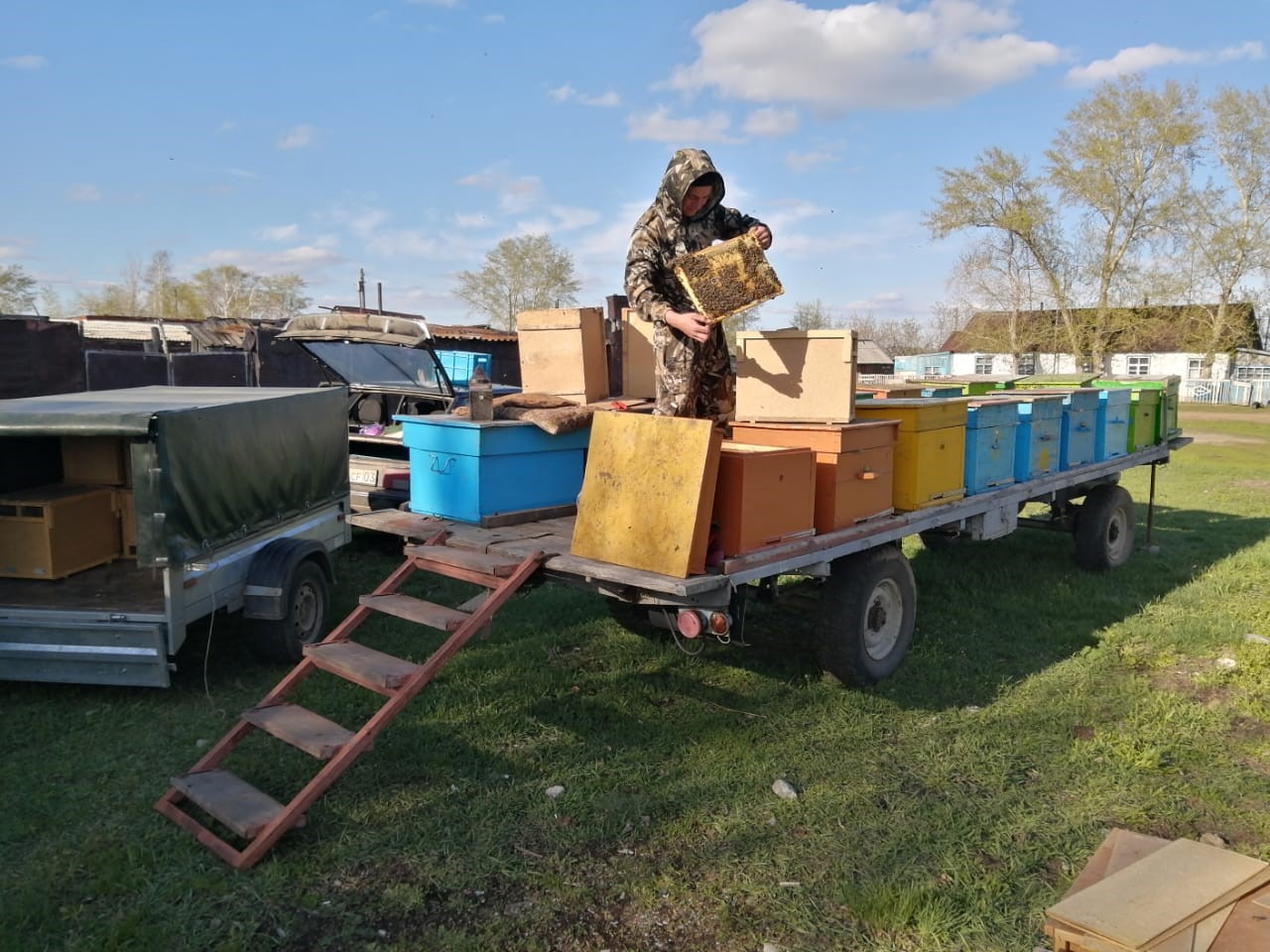 Bal arasy –  baqýattylyqtyń bastaýy