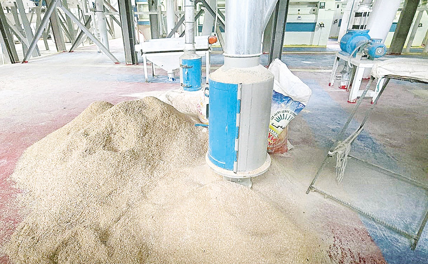 Astyq termınaly qaıta iske qosyldy