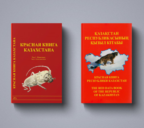 «Qyzyl kitaptyń» besinshi basylymy jaryq kóredi