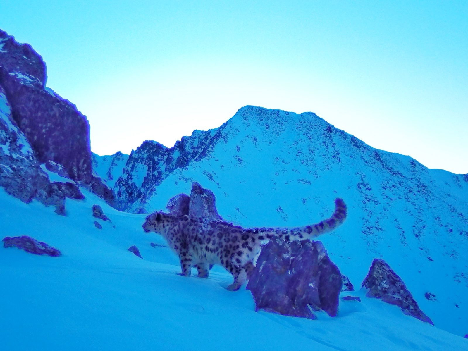 Topqaıyńnyń tusynda barys júr