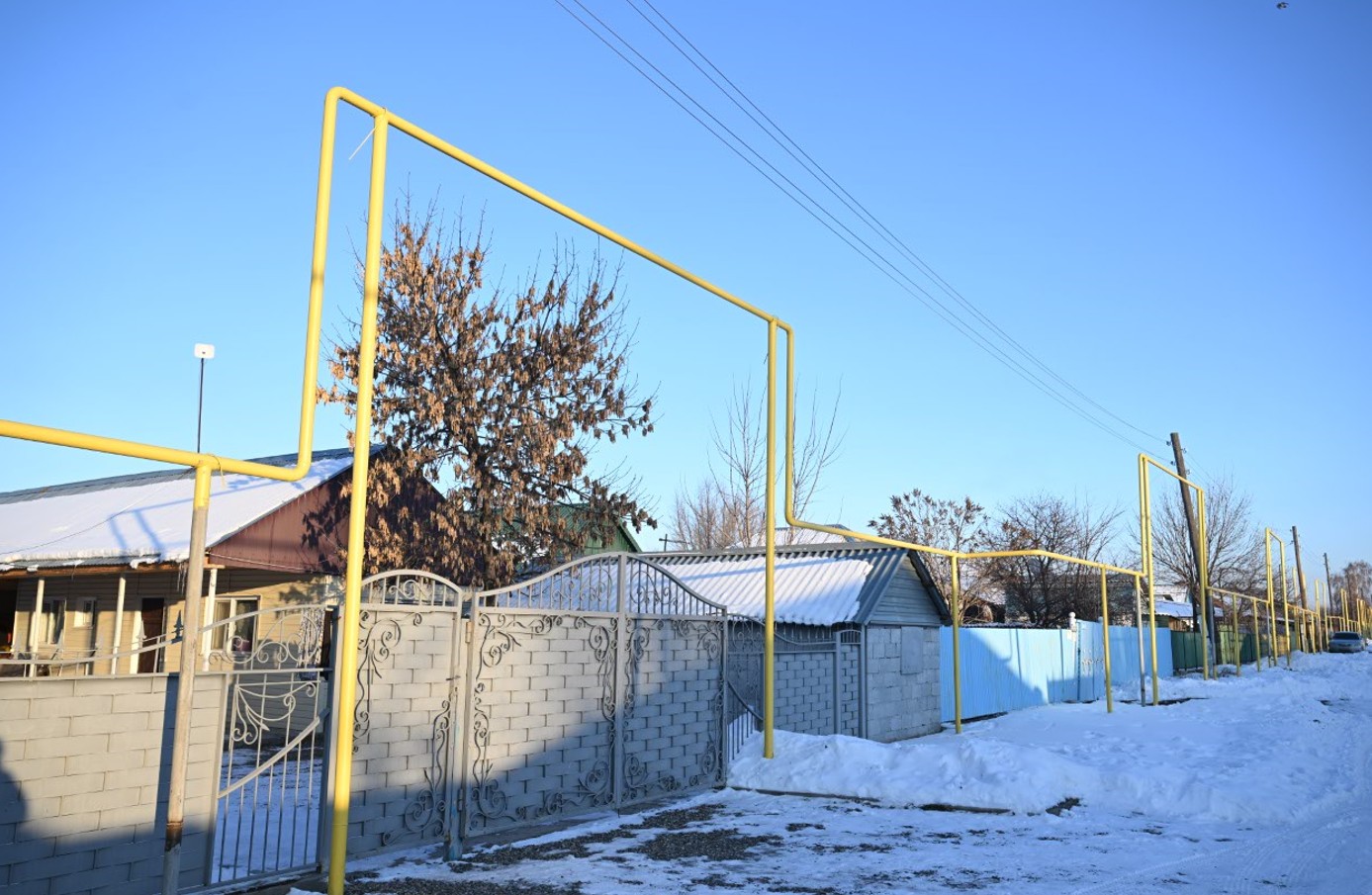 Kóp qalaýy – kógildir otyn