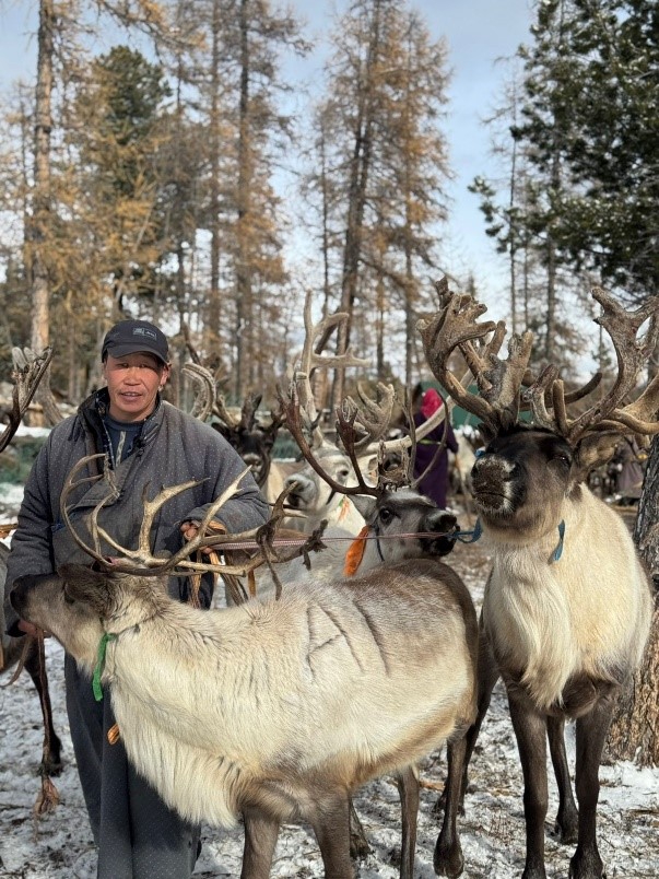Taıgany jaılaǵan dýha qaýymy