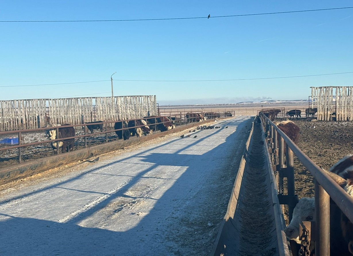 Aqbastan asatyny joq