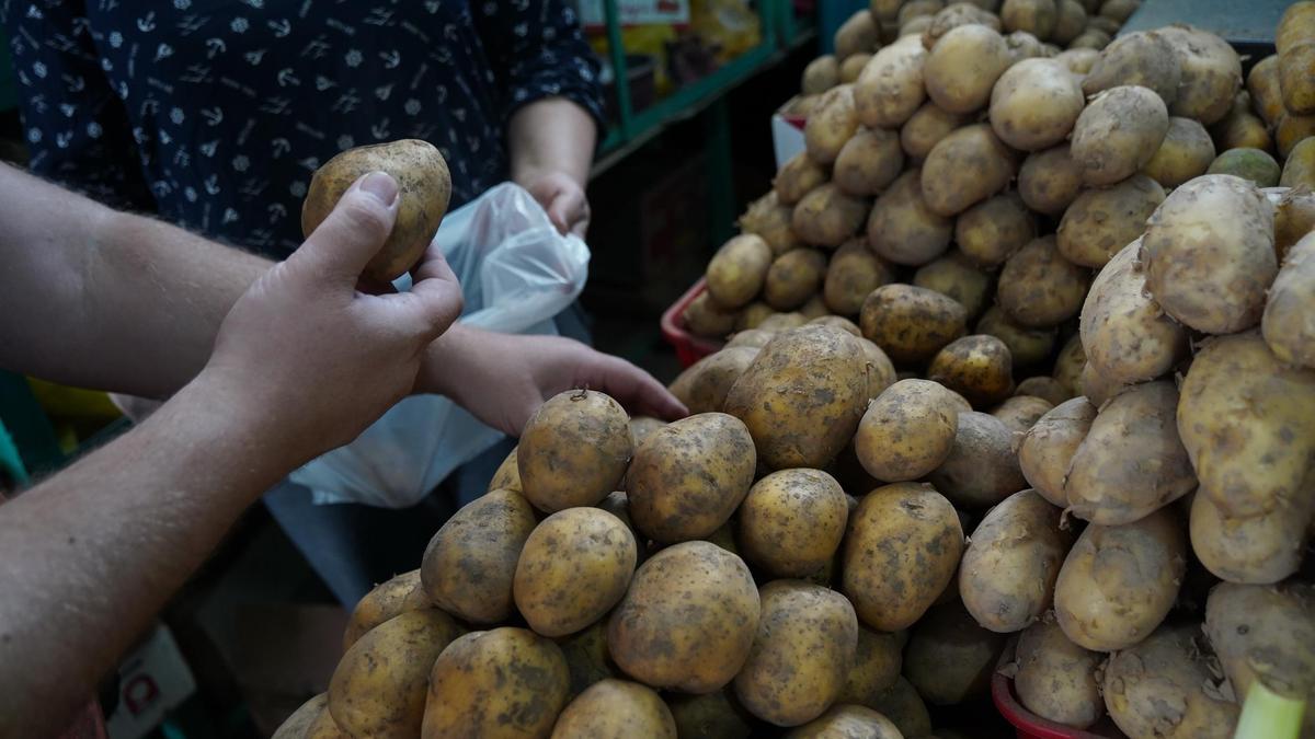 Almatyda bir adamǵa 5 keliden artyq kartop satylmaıdy