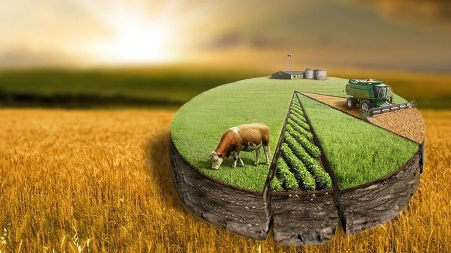 Memleket qoryna 12,1 mln ga aýyl sharýashylyǵy jeri qaıtaryldy