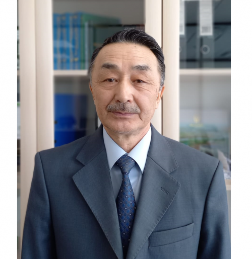 Prezıdent kópshiliktiń kókeıindegi saýaldarǵa jaýap berdi - sarapshy