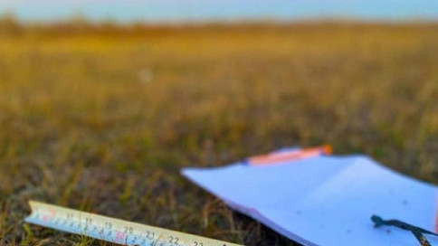 Almaty óńirindegi birneshe nysan memlekettik menshikke qaıtaryldy