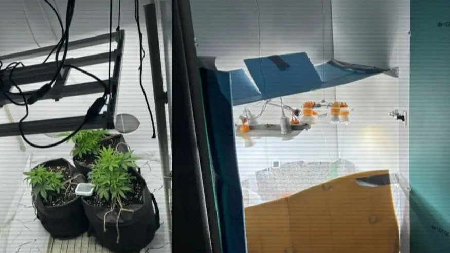 Táýlik ishinde úsh esirtki zerthanasy joıyldy