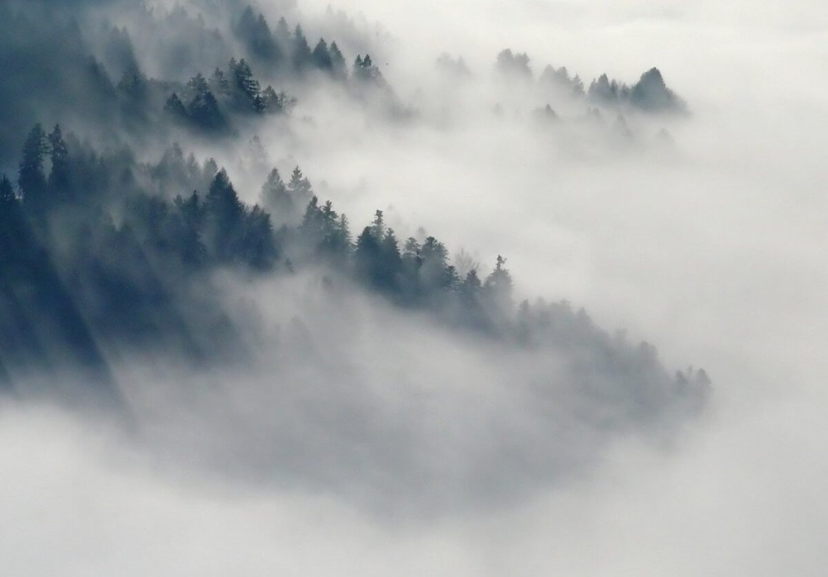 Búgin tuman túsip, kóktaıǵaq bolady