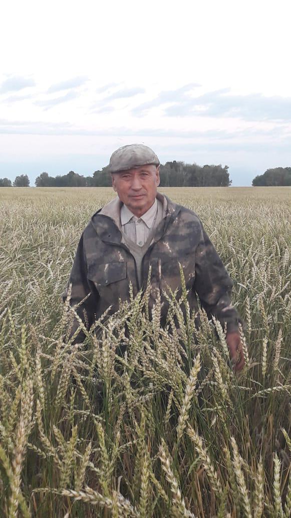 Aqyq dán aıalaǵan áýlet