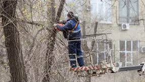 Jambyl oblysyndaǵy mektepte jumysshy mert boldy