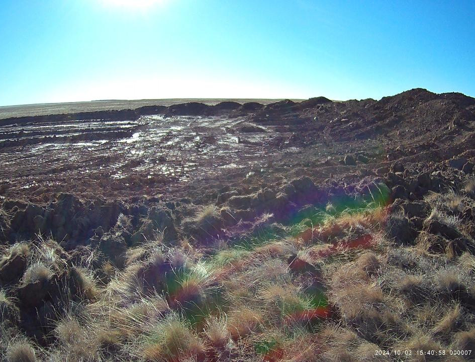 Qostanaı oblysynda  zańsyz altyn óndirgender jaýapqa tartyldy