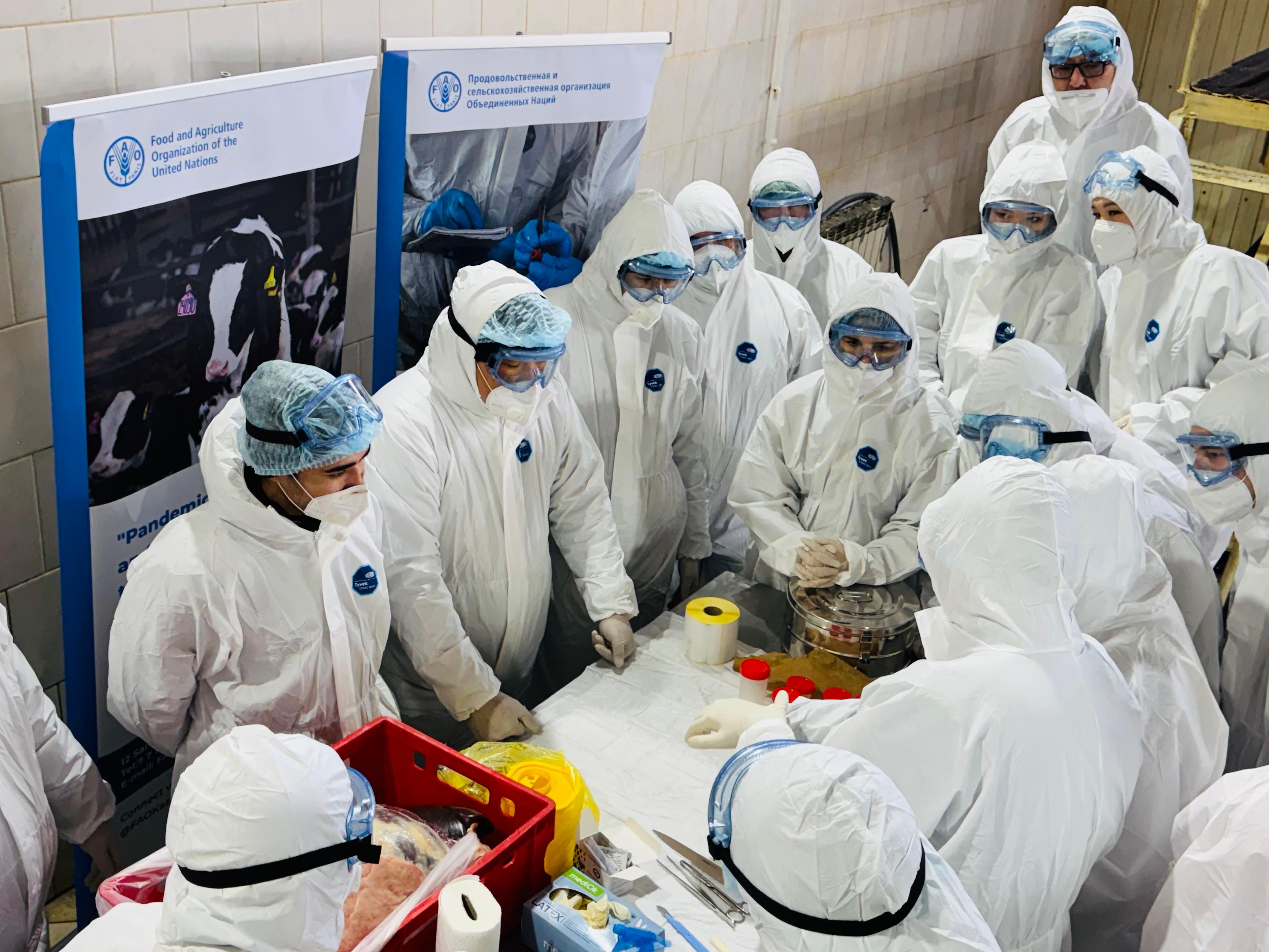 Mal sharýashylyǵyndaǵy mańyzdy másele