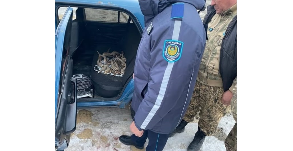 Kólikten kıik múıizderi tabylǵan