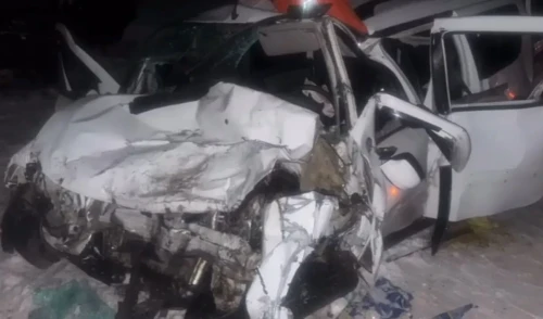 Almaty oblysynda jol apatynan bir adam kóz jumdy