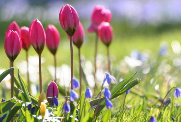 Qazaqstan halqy naýryzda qansha kún demalady