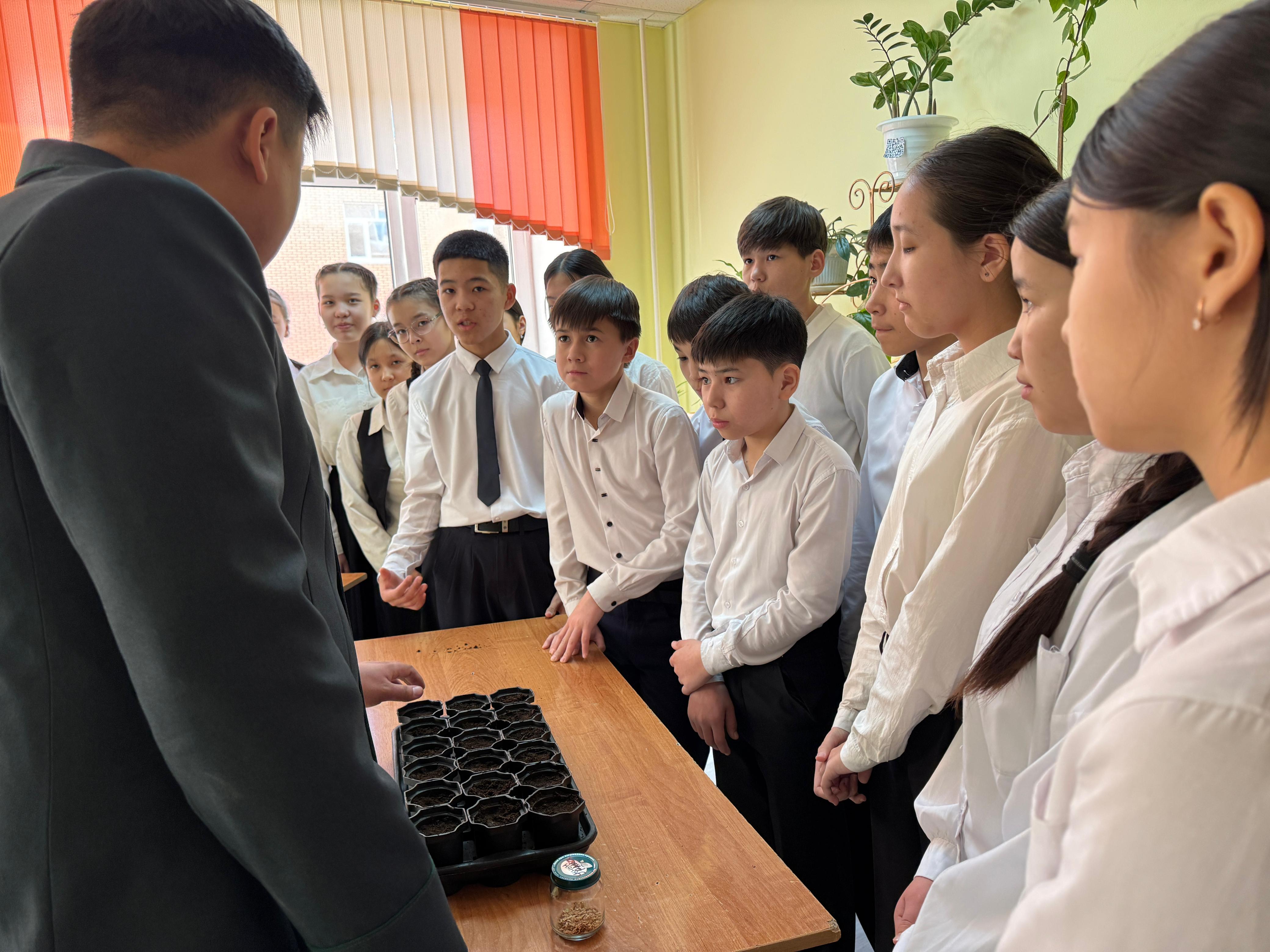 Orman ósiretin órender