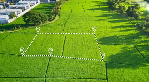 12 mıllıon gektar jer memleketke qaıtaryldy