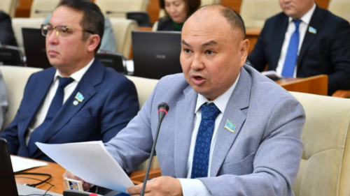 Toıymsyz merdigerlerdi tamaqtandyrýdy toqtatý kerek – Erlan Saırov