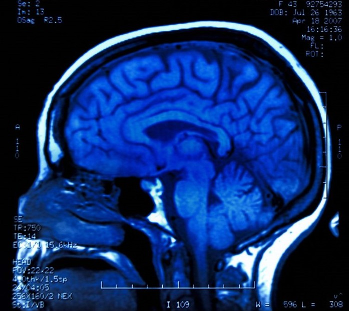 Ǵalam ǵajaptary: Mıdyń jańa qabaty