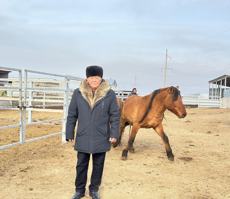 Bási bıik Muǵaljar jylqysy