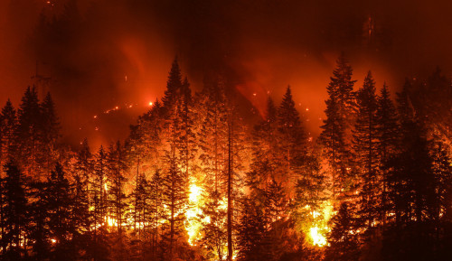 Chılıde orman otqa orandy