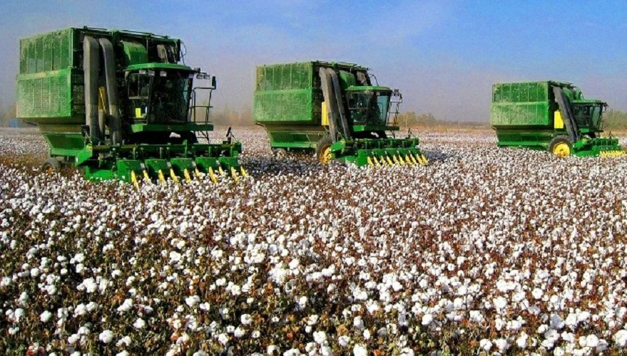 Senator maqta ósirýshiler tap bolǵan máselege narazylyǵyn bildirdi