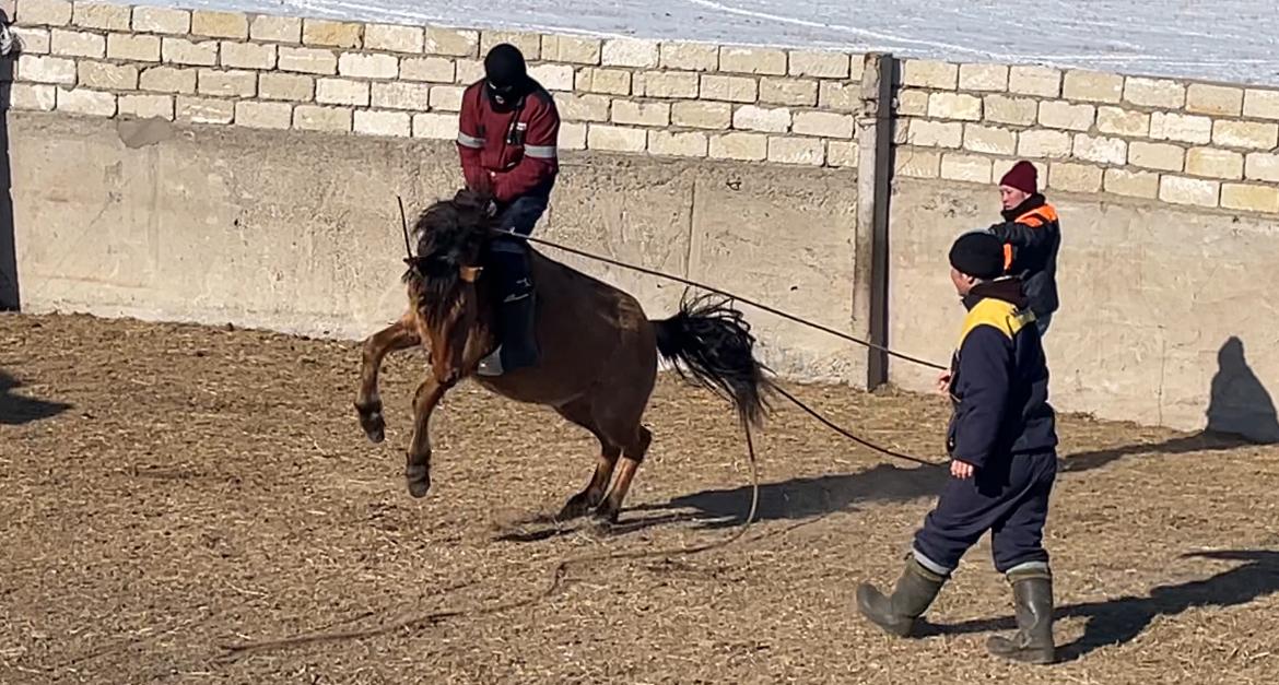 Asaý quryqtaǵan jigitter