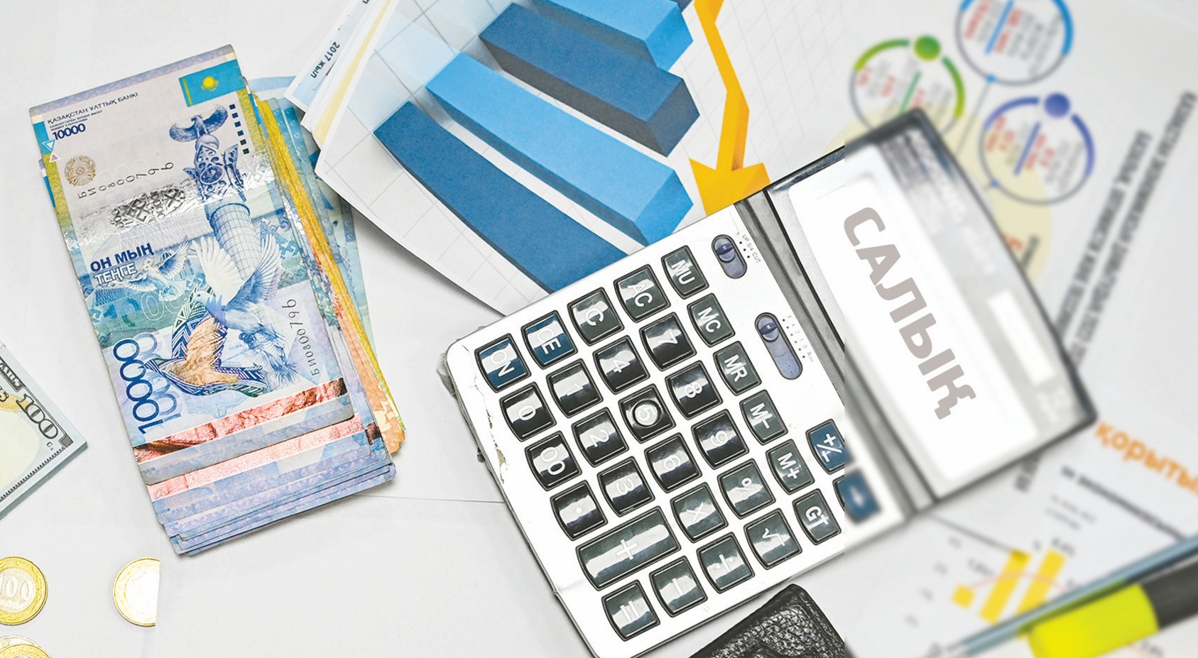 Salyq reformasy barshaǵa tıimdi bolýǵa tıis