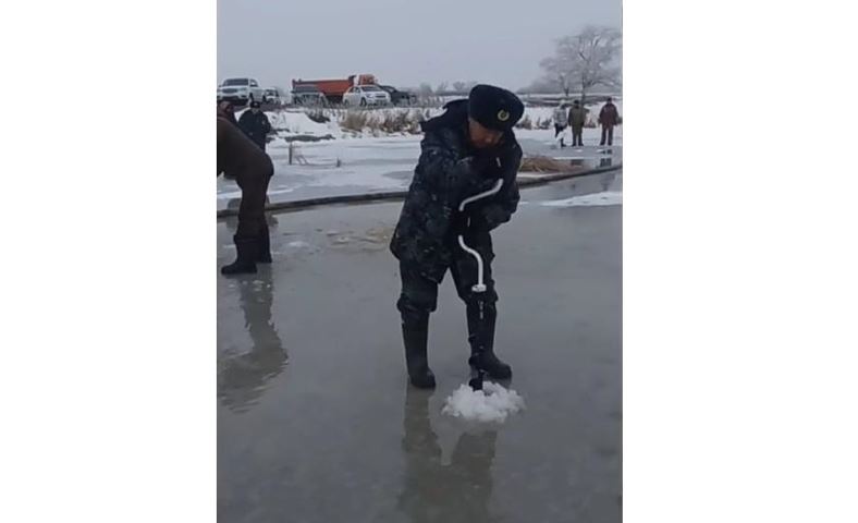 BQO-da balyqtardy aman alyp qalý amaly jasaldy