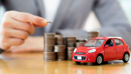 Elimizde otandyq kólikti nesıege alý jeńildedi