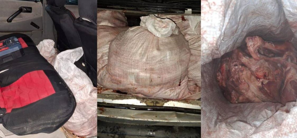 Kólikten 14 qap kıik eti tabylǵan