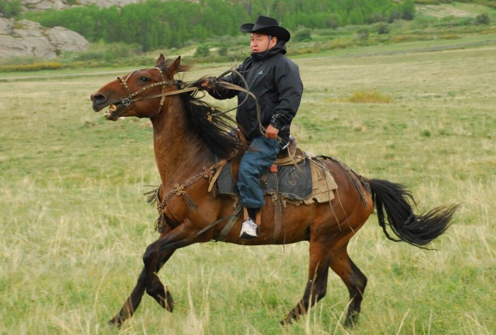 Qazanattyń qamqorshysy