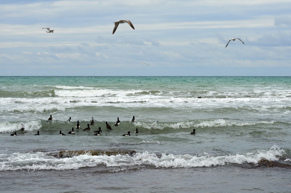 Kaspııge quıar sý azaıyp barady