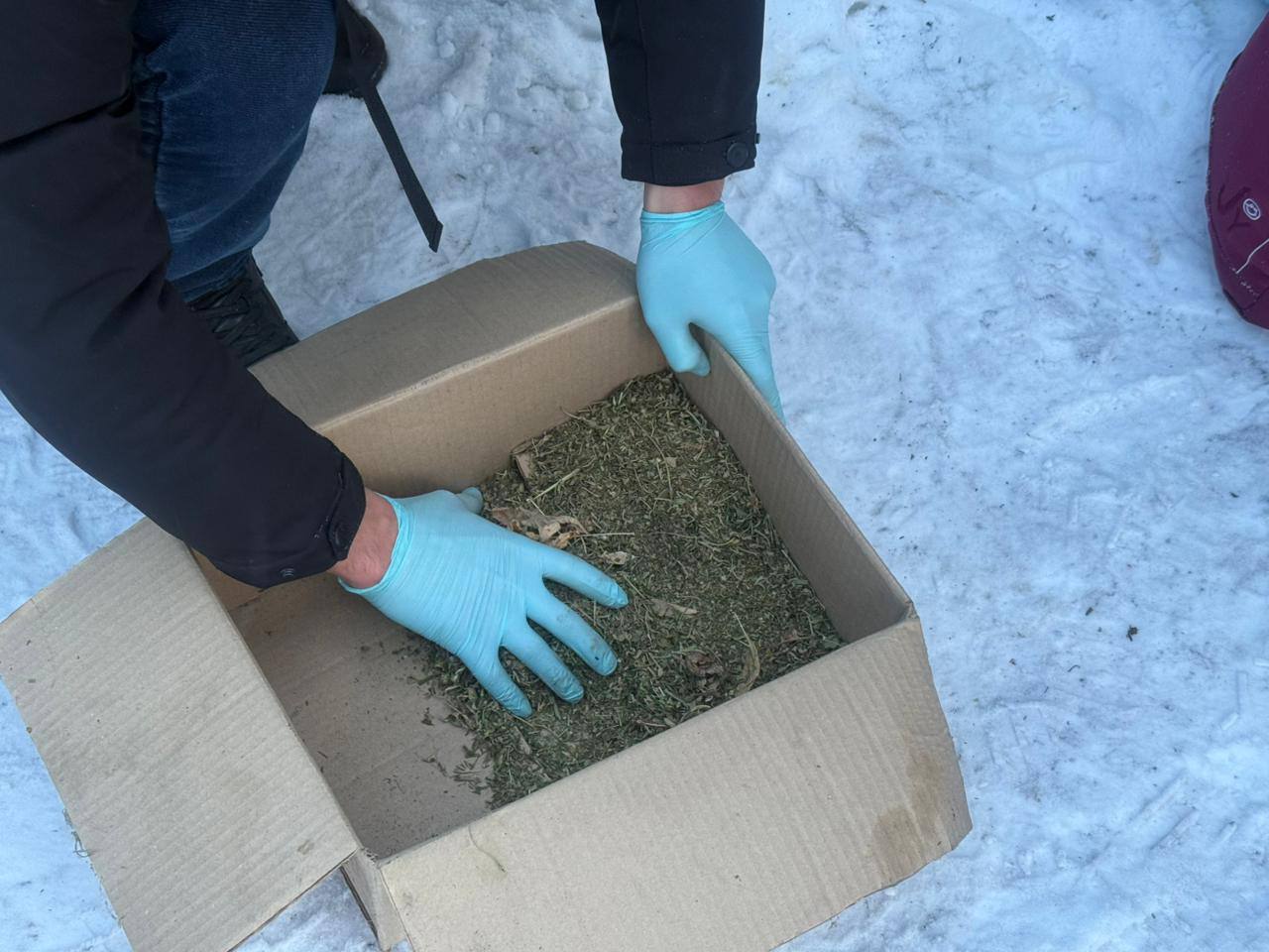 46 jastaǵy er adamnan esirtki tárkilendi