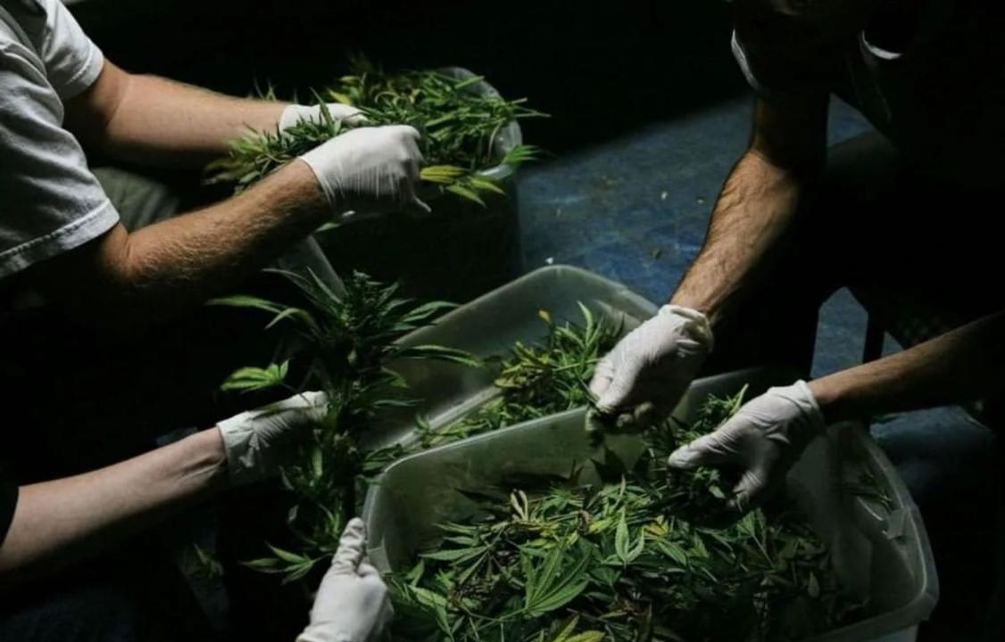 ShQO turǵynynan 4 keliden astam esirtki tárkilendi