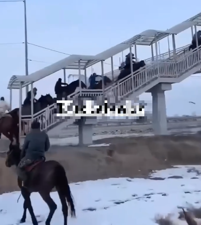 «QazAvtoJol» kókparshylarǵa eskertý jasady