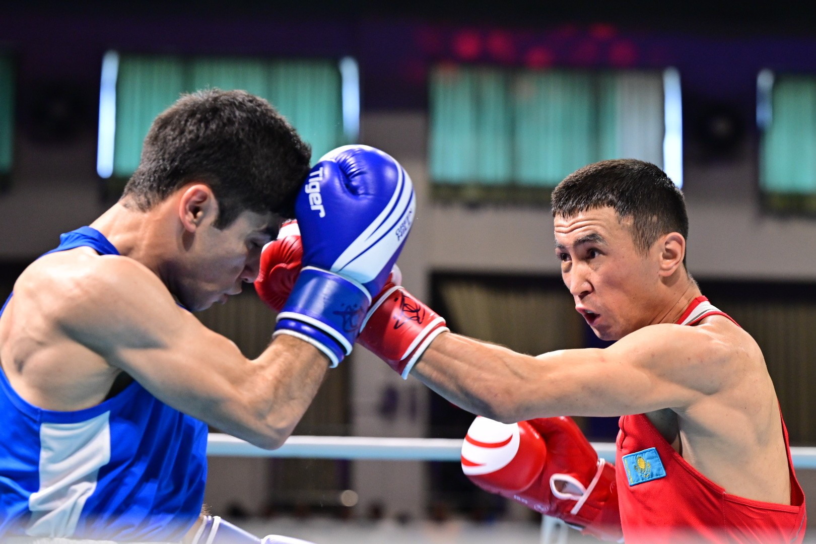 Sofııadaǵy saıys