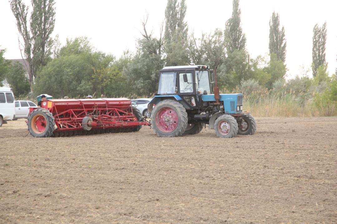 Dıqandar 660 myń gektarǵa daqyl ornalastyrmaq