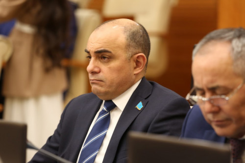 Májiliste jynys aýystyrýǵa tyıym salý usynyldy