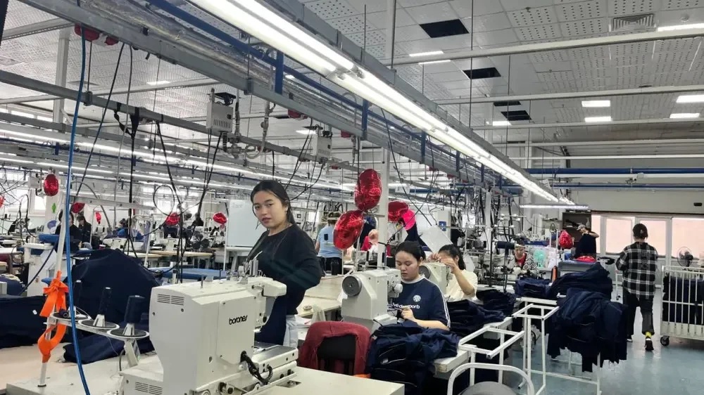 Jumysshy mamandar: suranysqa qaraı usynys