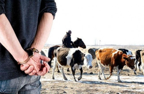 Atyraý oblysynda 28 jylqy urlaǵan kúdikti ustaldy