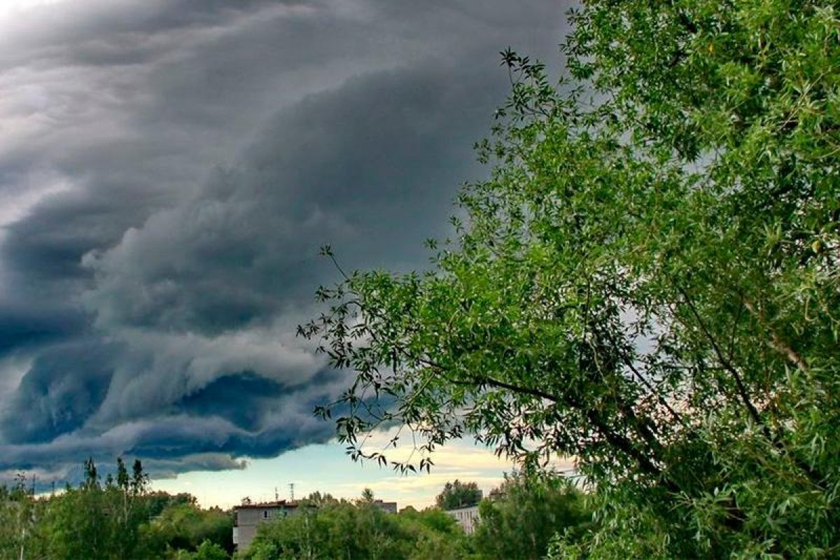 +20 gradýs: Naýryz aıynda aýa raıy qandaı bolady?