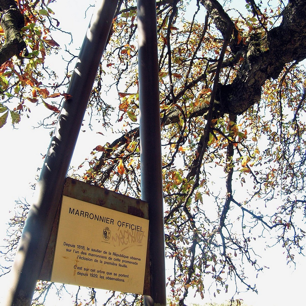 Ǵalam ǵajaptary: Jenevadaǵy kóktem