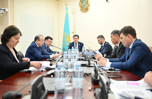 Depýtattar qylmystyq quqyq salasyndaǵy halyqaralyq kelisimderdi talqylady