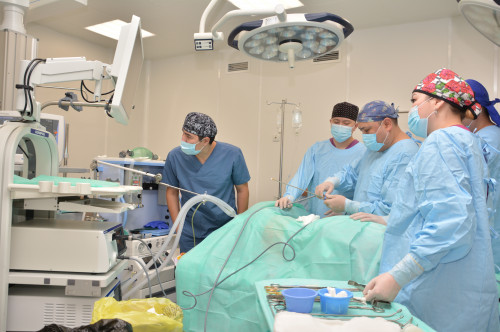 ShQO-da aýyl medısınasyn jańǵyrtý jalǵasyp jatyr