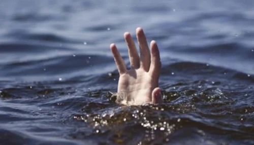 Ákesi ulyn sabap, sýǵa batyrmaq bolǵan